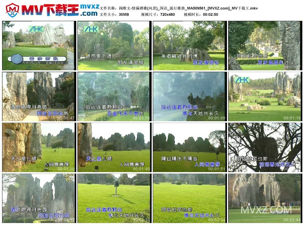 阎维文-情满酒歌(风景)_国语_流行歌曲_MA509561